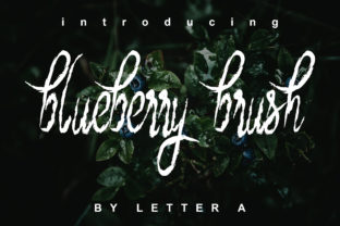 Blueberry Brush: A Script Handwritten Font for Editorial Design
