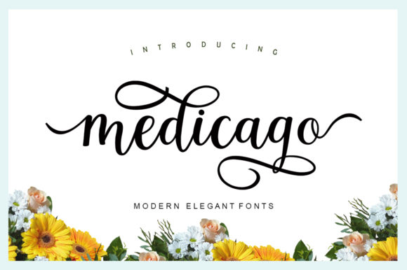 Medicago: A Script Font That Elevates Your Brand’s Visual Identity