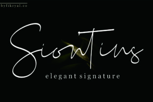 Siontins for Elegant Web Design and Branding