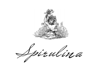 Spirulina: A Script Font for Timeless Digital Branding